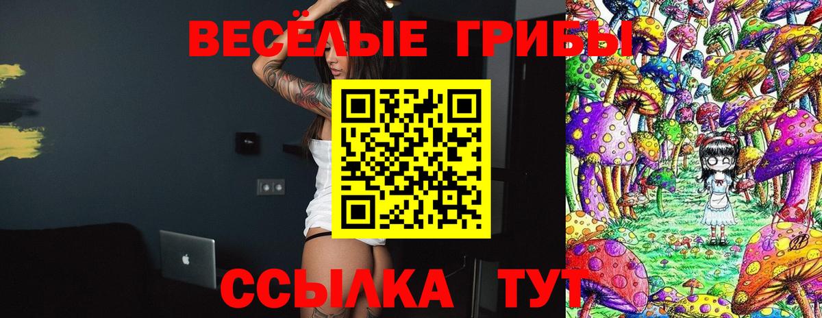 Искитим  Галлюциногенные грибы GOLDEN TEACHER  Вход с VPN  Псилоцибиновые грибы Cubensis 