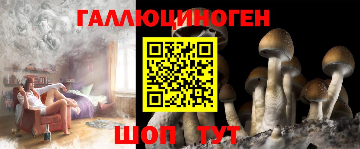 Галлюциногенные грибы Psilocybine cubensis Искитим